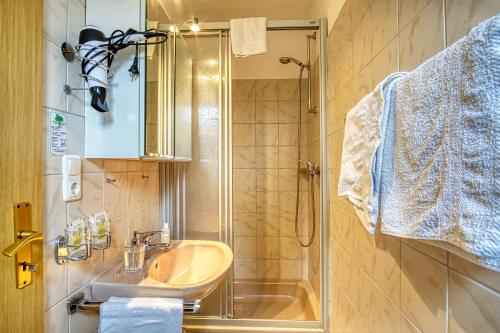 a bathroom with a sink and a shower at Dat lütte Heidehotel Funk - Garni in Bispingen