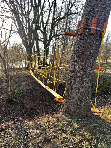 a tree with a yellow rope tied to a tree at Baltās anemones in Jumprava