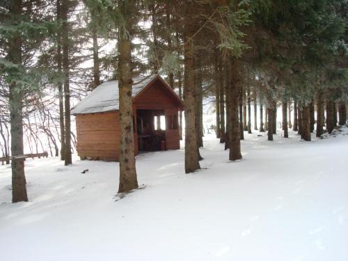 Το Guest House Šumski dvor τον χειμώνα