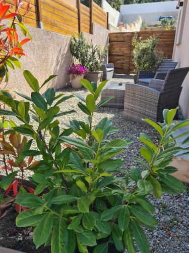 un jardin avec des chaises et des plantes sur une terrasse dans l'établissement Casa Dea, à Corte