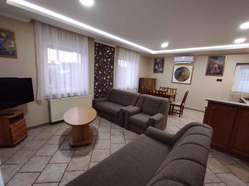 ギェネシュディアーシュにあるApartment Gyenesdias 17のリビングルーム(ソファ、テレビ、テーブル付)