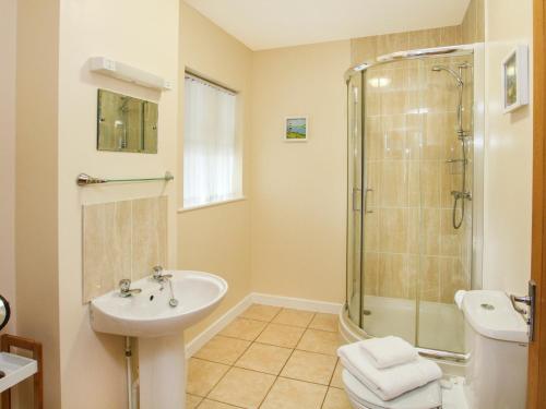 a bathroom with a shower and a sink and a toilet at Bryn Eira Tack Room in Llanfairpwllgwyngyll