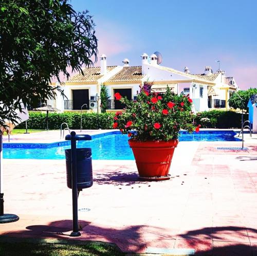 Appartement vera coast APARTAMENTOS SERRANOVERA