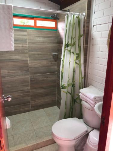 a bathroom with a toilet and a shower at Cabañas Veracruz3 Cerritos in Pereira