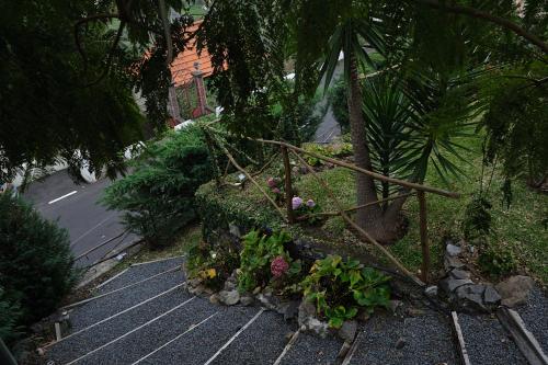 a garden with a bunch of flowers and plants at Ga281 in Funchal