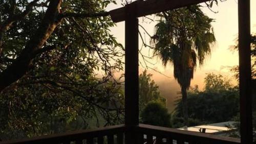 a view from a porch with a view of a tree at Potters Cottage in Bellingen