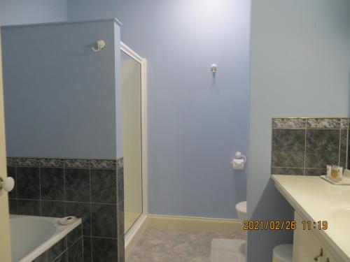 La salle de bains est pourvue d'une douche, de toilettes et d'un lavabo. dans l'établissement Arabella Country House, à Princetown