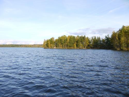 a large body of water with trees in the background at Brovillan in Lekeryd