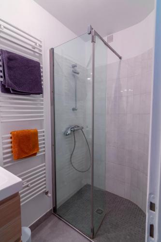 une douche avec une porte vitrée dans une salle de bain dans l'établissement Le Chanzy-Terrasse privative, à Saumur