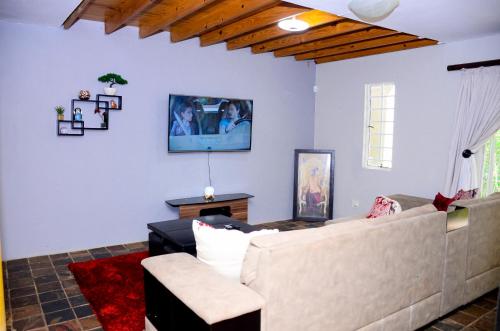 a living room with a couch and a tv at Novus Guest House in Pretoria