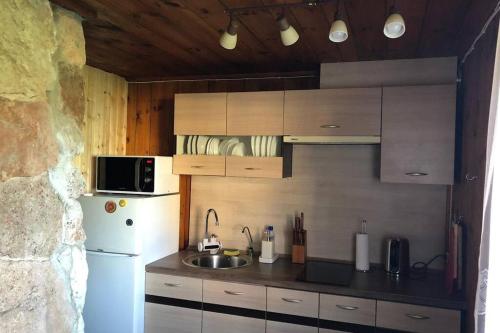a kitchen with a white refrigerator and a sink at Atpūta pie jūras in Bigauņciems
