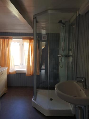 y baño con ducha acristalada y lavamanos. en Lensmansgarden Marteinsgarden en Innfjorden