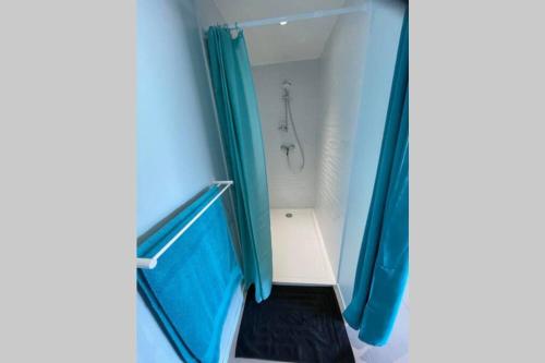 a bathroom with a shower with a blue shower curtain at Studio indépendant au calme avec vue imprenable in Bossieu