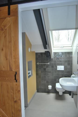 a bathroom with a sink and a toilet and a skylight at Hoeve de Heemser Parel in Heemserveen