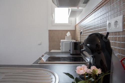 a kitchen counter with a sink and a pot with flowers at Estudio Rosimar in L'Escala