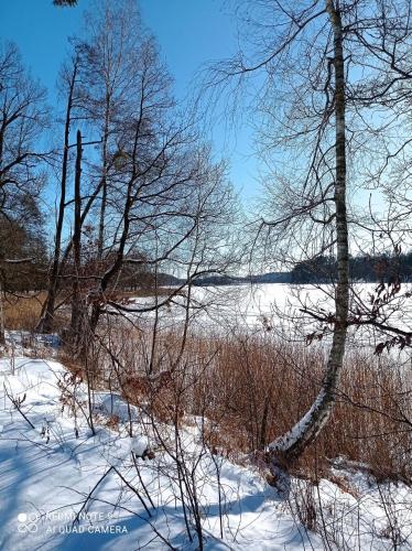 a snow covered field with trees and a river at ApartDomek CICHE in Zbiczno