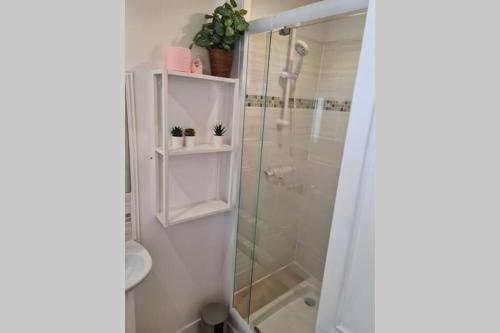 een badkamer met een douche en een glazen douchecabine bij Appartement Duplex The Lighthouse in Châteaulin