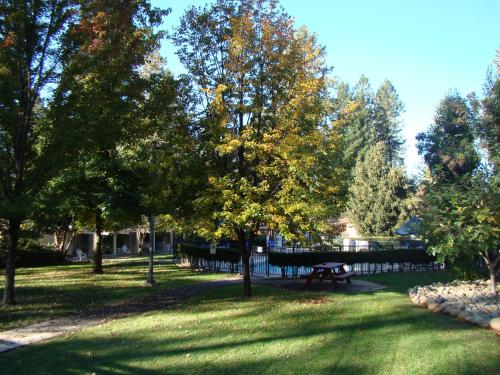 a park with a picnic table and trees at Ponderosa Gardens Motel in Paradise