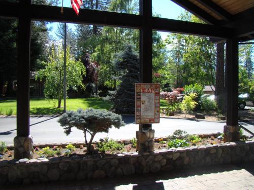 a garden in a pavilion with a tree in the middle at Ponderosa Gardens Motel in Paradise