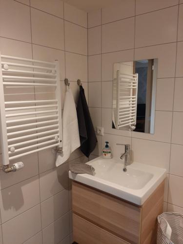 uma casa de banho com um lavatório e um espelho em Appartementen Hoek 1 em Baflo