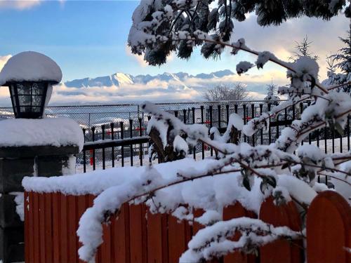 a fence covered in snow with a snow covered tree at Pokoje Gościnne Góraleczka in Szaflary