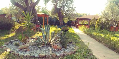 a garden with some plants and a sidewalk at La Piana degli Ulivi in Rossano