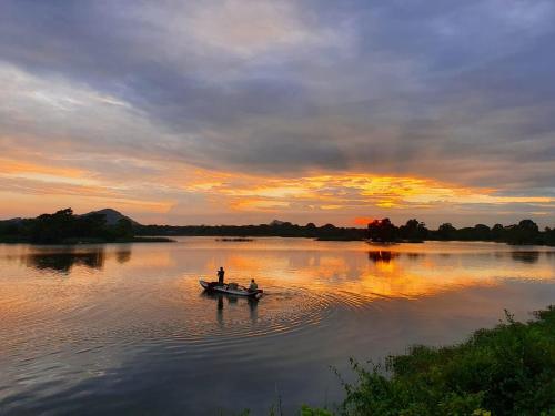 Landskap semula jadi dekat dengan rumah tamu ini