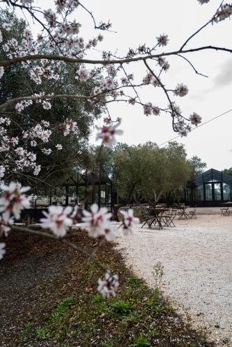 Relais Trulli Le Iconeにある庭