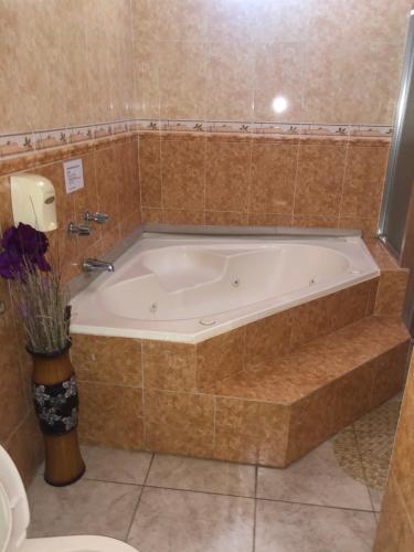 uma banheira na casa de banho com WC em Residencial Alameda na Cidade do Panamá