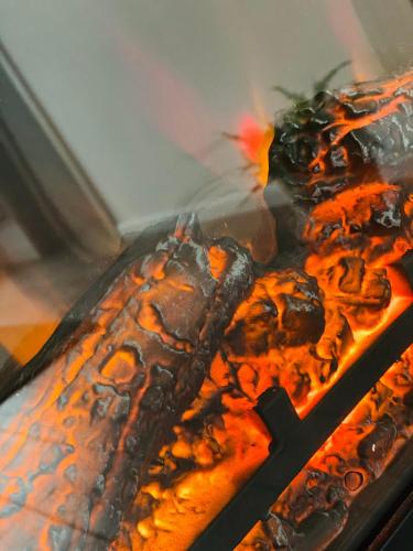 a close up of a cake with flames on it at Sarah Home in Hunedoara