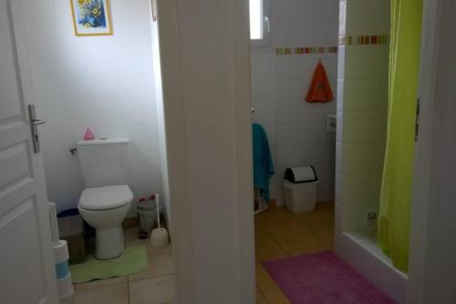 une petite salle de bain avec toilettes et douche dans l'établissement Maison de campagne avec jardin pour 2 à 5 personnes, à Julos