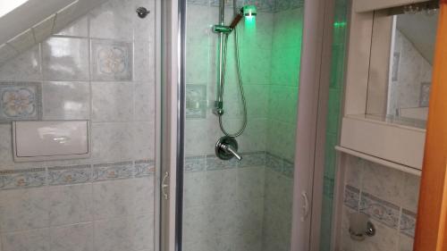 a shower with a glass door in a bathroom at Appartamenti Magnolia in Positano