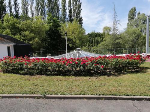 Taman di luar CHAMBRE INDEPENDANTE DANS UN PARC