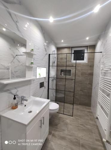 a bathroom with a sink and a toilet and a shower at Apartments Airport Inn in Dubrave Gornje