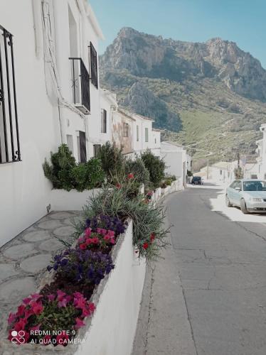 a street with flowers on the side of a building at La Casita Tipica in Zuheros
