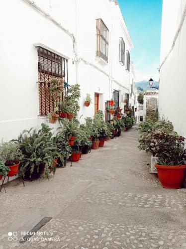 an alley with potted plants on the side of a building at La Casita Tipica in Zuheros