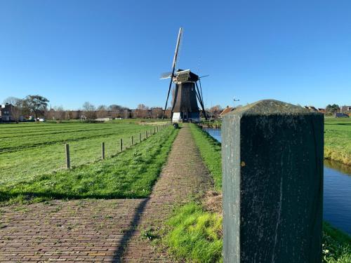 a windmill in a field next to a canal at Appartement - B&B de Koog in Uitgeest