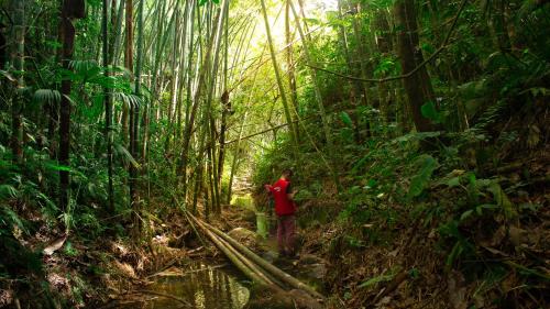 Afbeelding uit fotogalerij van LA GRANJA ECOHOTEL in La Tebaida