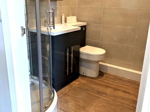 a bathroom with a toilet and a sink and a shower at Mansion Court in Doncaster