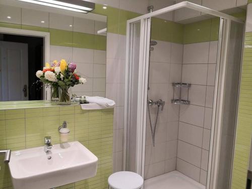 a bathroom with a sink and a toilet and a shower at Die Remise Bayard RE-12 in Stolpe auf Usedom