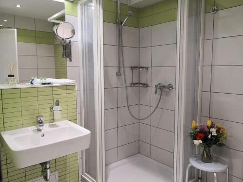 uma casa de banho com um lavatório e um chuveiro com um lavatório. em Die Remise Copenhagen RE-16 em Stolpe auf Usedom