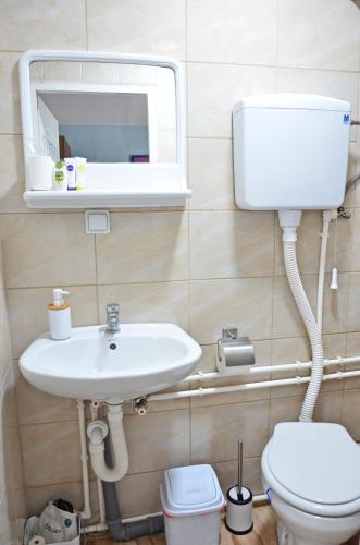 łazienka z umywalką, toaletą i lustrem w obiekcie Kizde w mieście Negotin