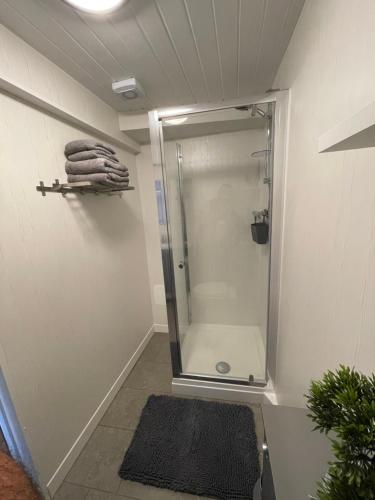 y baño con cabina de ducha y alfombra. en Westend Holiday Let 1 Brecon, en Brecon