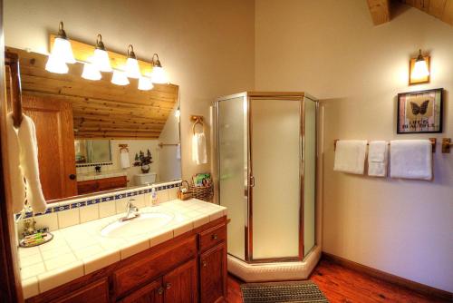 uma casa de banho com um chuveiro e um lavatório. em Mystic Views em Yosemite West