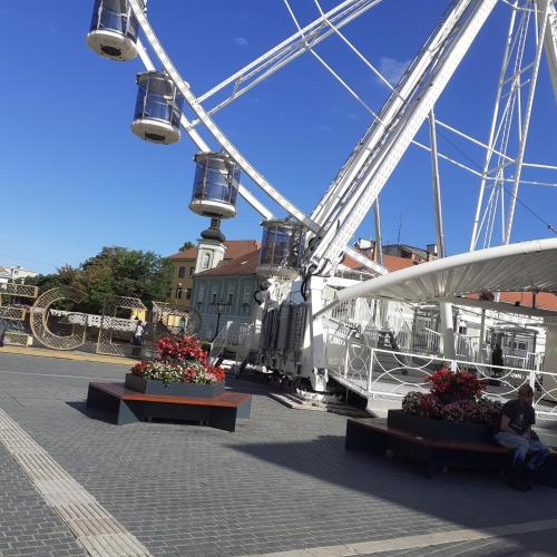 a ferris wheel with flowers and a man sitting on benches at Éva vendégház in Egerszalók