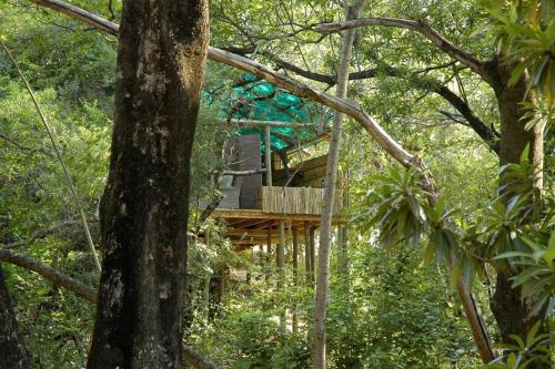 a tree house in the middle of the forest at Summerfields Rose Retreat and Spa in Hazyview