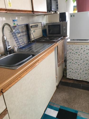 a kitchen with a sink and a microwave at Little Trains of Dartmouth in Dartmouth
