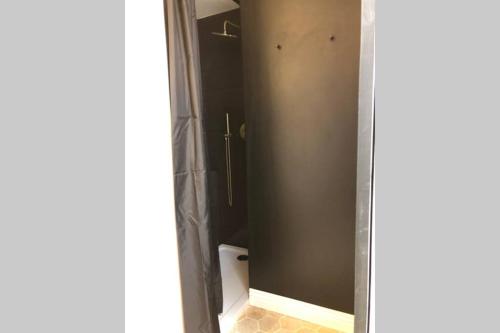 La salle de bains est pourvue d'une douche et d'un miroir. dans l'établissement Studio vue mer dans le quartier de saint Victor, à Marseille