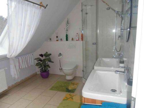 uma casa de banho com um WC, um chuveiro e um lavatório. em Ferienwohnung im Barockwinkel em Neuburg an der Kammel