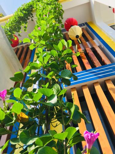 a wooden bench sitting on a balcony with a plant at Hoi An Village Villa in Hoi An